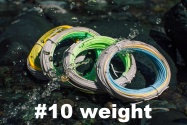 #10 Weight Sinking